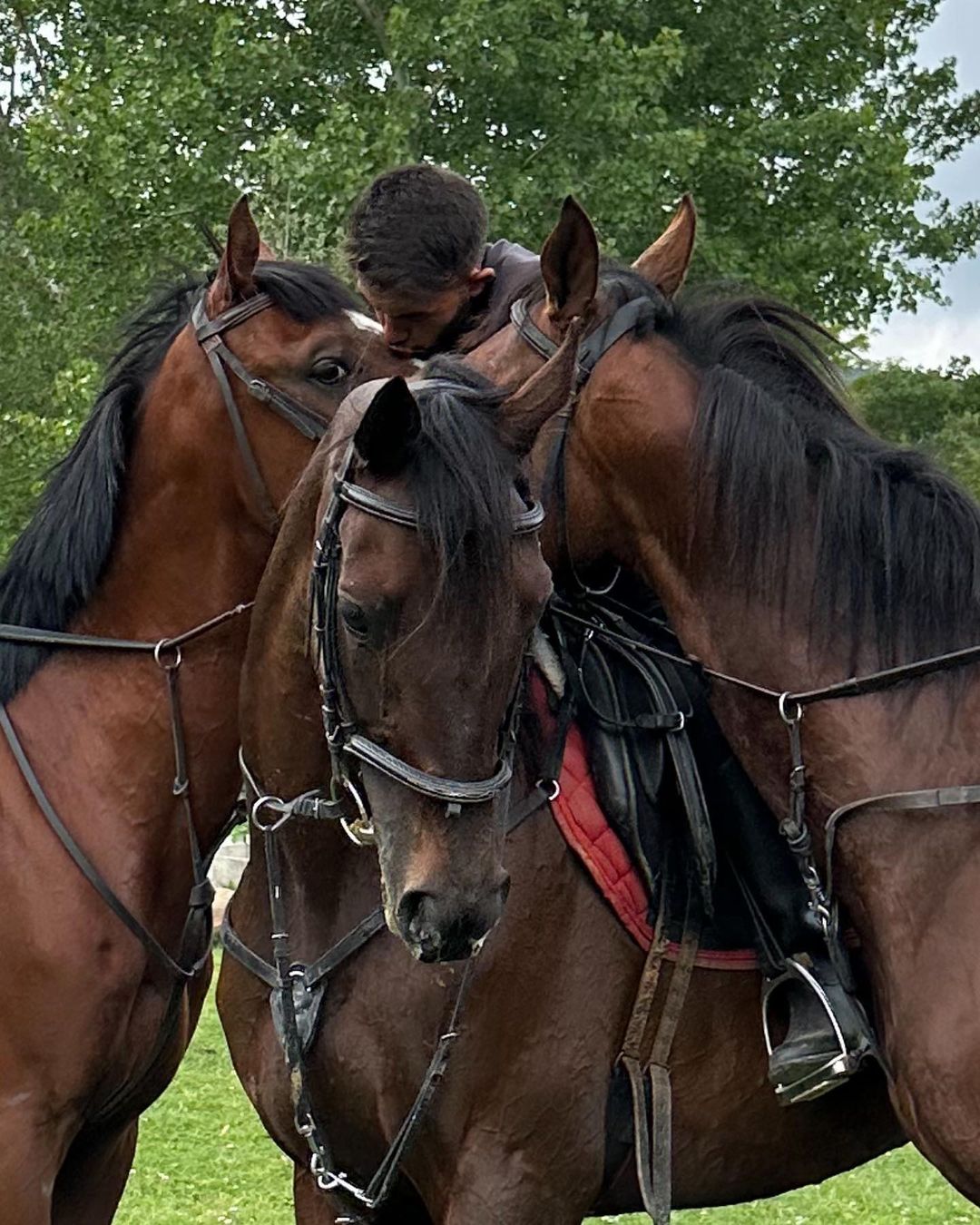 Safari At Çiftliği - Atli Doğa Safarisi